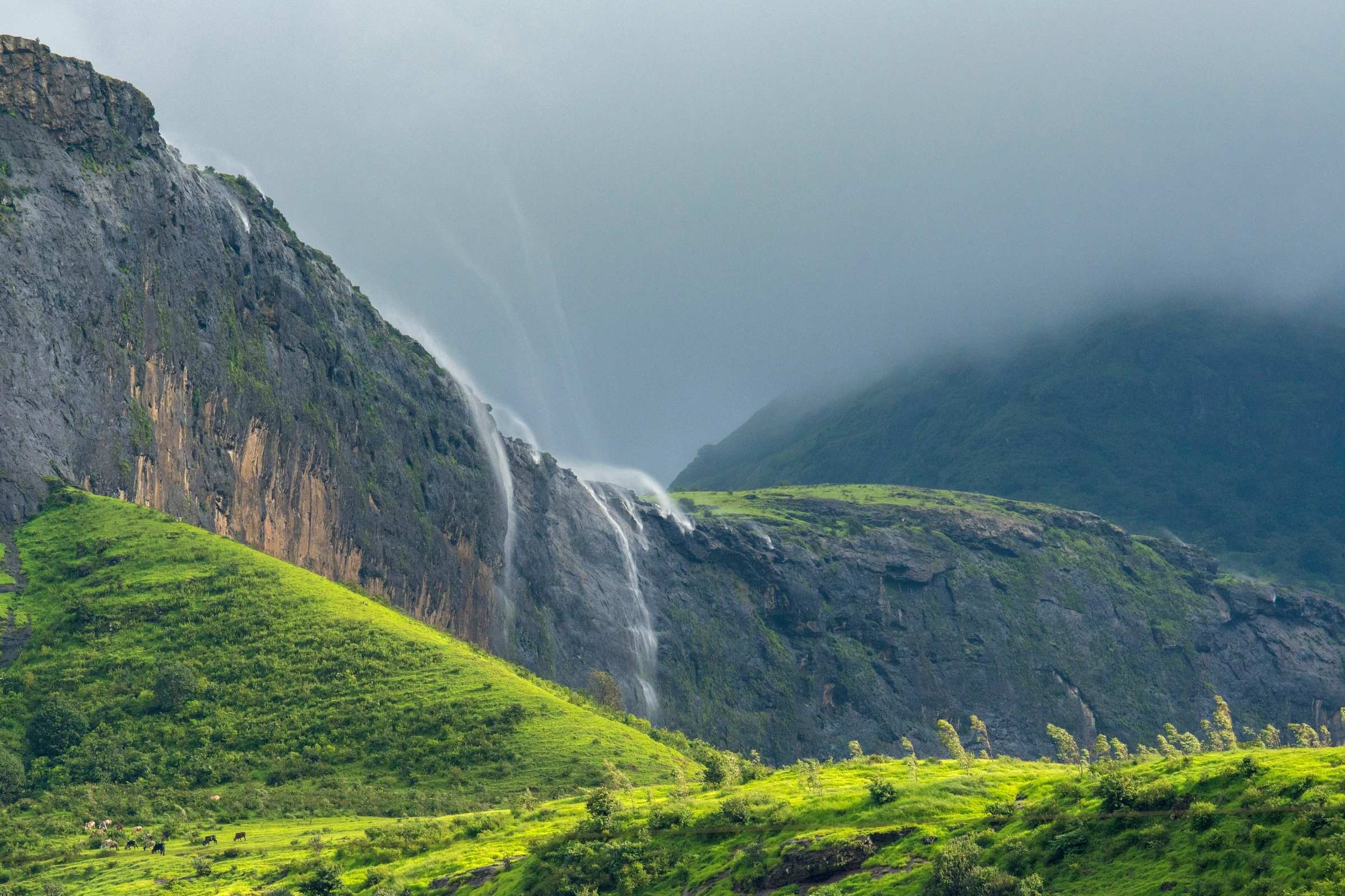 Maharashtra, India